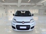  Fiat  Panda FIAT  / 2011 / 5P / BERLINA 1.0 70CV SeS HYBRID #6