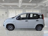  Fiat  Panda FIAT  / 2011 / 5P / BERLINA 1.0 70CV SeS HYBRID #8