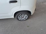  Fiat  Panda FIAT  / 2011 / 5P / BERLINA 1.0 70CV SeS HYBRID #72
