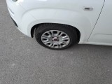  Fiat  Panda FIAT  / 2011 / 5P / BERLINA 1.0 70CV SeS HYBRID #74