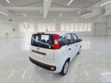  Fiat  Panda FIAT  / 2011 / 5P / BERLINA 1.0 70CV SeS HYBRID #2