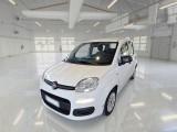  Fiat  Panda FIAT  / 2011 / 5P / BERLINA 1.0 70CV SeS HYBRID 