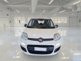  Fiat  Panda FIAT  / 2011 / 5P / BERLINA 1.0 70CV SeS HYBRID #6