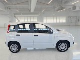  Fiat  Panda FIAT  / 2011 / 5P / BERLINA 1.0 70CV SeS HYBRID #7