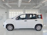  Fiat  Panda FIAT  / 2011 / 5P / BERLINA 1.0 70CV SeS HYBRID #8