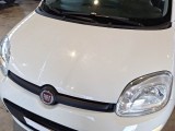  Fiat  Panda FIAT  / 2011 / 5P / BERLINA 1.0 70CV SeS HYBRID #22