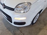  Fiat  Panda FIAT  / 2011 / 5P / BERLINA 1.0 70CV SeS HYBRID #27