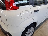  Fiat  Panda FIAT  / 2011 / 5P / BERLINA 1.0 70CV SeS HYBRID #40