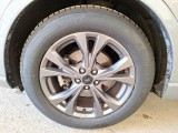  Ford  Kuga FORD  / 2019 / 5P / SUV 1.5 ECOBLUE 120CV 2WD ST-LINE AUTO #20