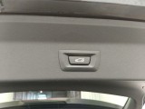  Bmw  X3 BMW  xDrive30e (120 kW) 5d #32