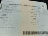  Volkswagen  Polo Volkswagen  1.0 TSI Highline DSG 5d #11