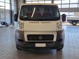  Fiat  Ducato FIAT  2011 FURGONE 35 MH1 2.3 MULTIJET 16V 130CV #6