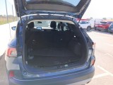  Ford  Kuga  Titanium 1.5 EcoBlue 120CV MT6 E6dT #8