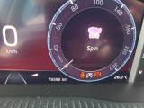  Skoda  Octavia  Combi (NX3)(2020) Oct.Combi 2.0TDI 85 Style AT #19