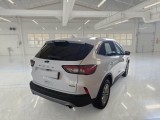  Ford  Kuga FORD  / 2019 / 5P / SUV 2.5 BENZINA FHEV 190CV 2WD TIT.BUS. AUT #2