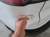  Ford  Kuga FORD  / 2019 / 5P / SUV 2.5 BENZINA FHEV 190CV 2WD TIT.BUS. AUT #53