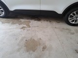  Ford  Kuga FORD  / 2019 / 5P / SUV 2.5 BENZINA FHEV 190CV 2WD TIT.BUS. AUT #73