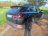  Hyundai  Tucson  Business Mild-Hybrid 2WD 1.6 CRDI 135CV E6d #3