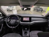  Skoda  Octavia  Combi Business 2.0 TDI 115CV BVM6 E6d #5