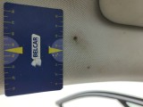  Fiat  500 Fiat X 1.0 Firefly T 120 City Cross First Ed 5d #137