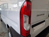  Fiat  Ducato FIAT  / 2014 / 4P / FURGONE 35 MH1 3.0 CNG 16V 136CV E6D-TEMP #99