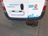  Fiat  Fiorino FIAT  / 2016 / 4P / VETT. FURGONATA 1.3 MULTIJET 80 CV E6 SX #78