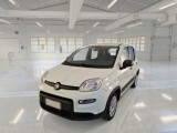 Fiat  Panda FIAT  / 2012 / 5P / BERLINA 1.0 70CV HYBRID EURO 6D VAN 4 P. STREET 