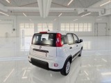  Fiat  Panda FIAT  / 2012 / 5P / BERLINA 1.0 70CV HYBRID EURO 6D VAN 4 P. STREET #2