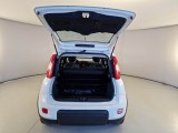  Fiat  Panda FIAT  / 2012 / 5P / BERLINA 1.0 70CV HYBRID EURO 6D VAN 4 P. STREET #5