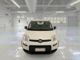  Fiat  Panda FIAT  / 2012 / 5P / BERLINA 1.0 70CV HYBRID EURO 6D VAN 4 P. STREET #6