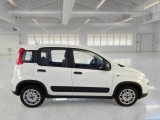  Fiat  Panda FIAT  / 2012 / 5P / BERLINA 1.0 70CV HYBRID EURO 6D VAN 4 P. STREET #7