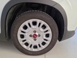  Fiat  Panda FIAT  / 2012 / 5P / BERLINA 1.0 70CV HYBRID EURO 6D VAN 4 P. STREET #17