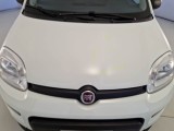  Fiat  Panda FIAT  / 2012 / 5P / BERLINA 1.0 70CV HYBRID EURO 6D VAN 4 P. STREET #22