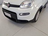  Fiat  Panda FIAT  / 2012 / 5P / BERLINA 1.0 70CV HYBRID EURO 6D VAN 4 P. STREET #25