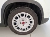  Fiat  Panda FIAT  / 2012 / 5P / BERLINA 1.0 70CV HYBRID EURO 6D VAN 4 P. STREET #55