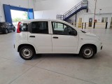  Fiat  Panda FIAT  / 2012 / 5P / BERLINA 1.2 GPL 69 CV VAN 2 POSTI EURO6D POP #7