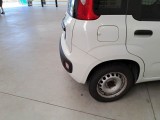 Fiat  Panda FIAT  / 2012 / 5P / BERLINA 1.2 GPL 69 CV VAN 2 POSTI EURO6D POP #48