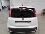  Fiat  Panda FIAT  / 2012 / 5P / BERLINA 1.2 GPL 69 CV VAN 2 POSTI EURO6D POP #55