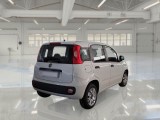  Fiat  Panda FIAT  / 2012 / 5P / BERLINA 1.3 MJT 80 CV VAN EURO6 SeS 4 POSTI EASY #2