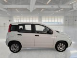  Fiat  Panda FIAT  / 2012 / 5P / BERLINA 1.3 MJT 80 CV VAN EURO6 SeS 4 POSTI EASY #7