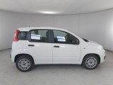  Fiat  Panda FIAT  / 2012 / 5P / BERLINA 1.3 MJT 80 CV VAN EURO6 SeS 4 POSTI EASY #7