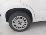  Fiat  Panda FIAT  / 2012 / 5P / BERLINA 1.3 MJT 80 CV VAN EURO6 SeS 4 POSTI EASY #18