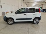  Fiat  Panda FIAT  / 2012 / 5P / BERLINA 900CC 85CV VAN EU6D 4X4 2P.POP #8