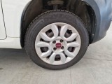  Fiat  Panda FIAT  / 2012 / 5P / BERLINA 900CC 85CV VAN EU6D 4X4 2P.POP #54