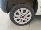 Fiat  Panda FIAT  / 2012 / 5P / BERLINA 900CC 85CV VAN EU6D 4X4 2P.POP #56