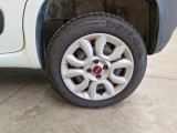  Fiat  Panda FIAT  / 2012 / 5P / BERLINA 900CC 85CV VAN EU6D 4X4 2P.POP #58