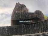  Peugeot  2008  Allure Pack 1.5 HDi 130CV AT8 E6d #17