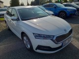  Skoda  Octavia  Lim. (NX3)(2020)  1.5TSI 110 Ambition 5d #3