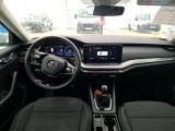  Skoda  Octavia  Break Business 2.0 TDI 115CV BVM6 E6d #5
