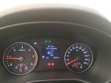  KIA  Sportage  Black Edition Business 2WD 1.6 CRDi 135CV BVA7 E6d #6
